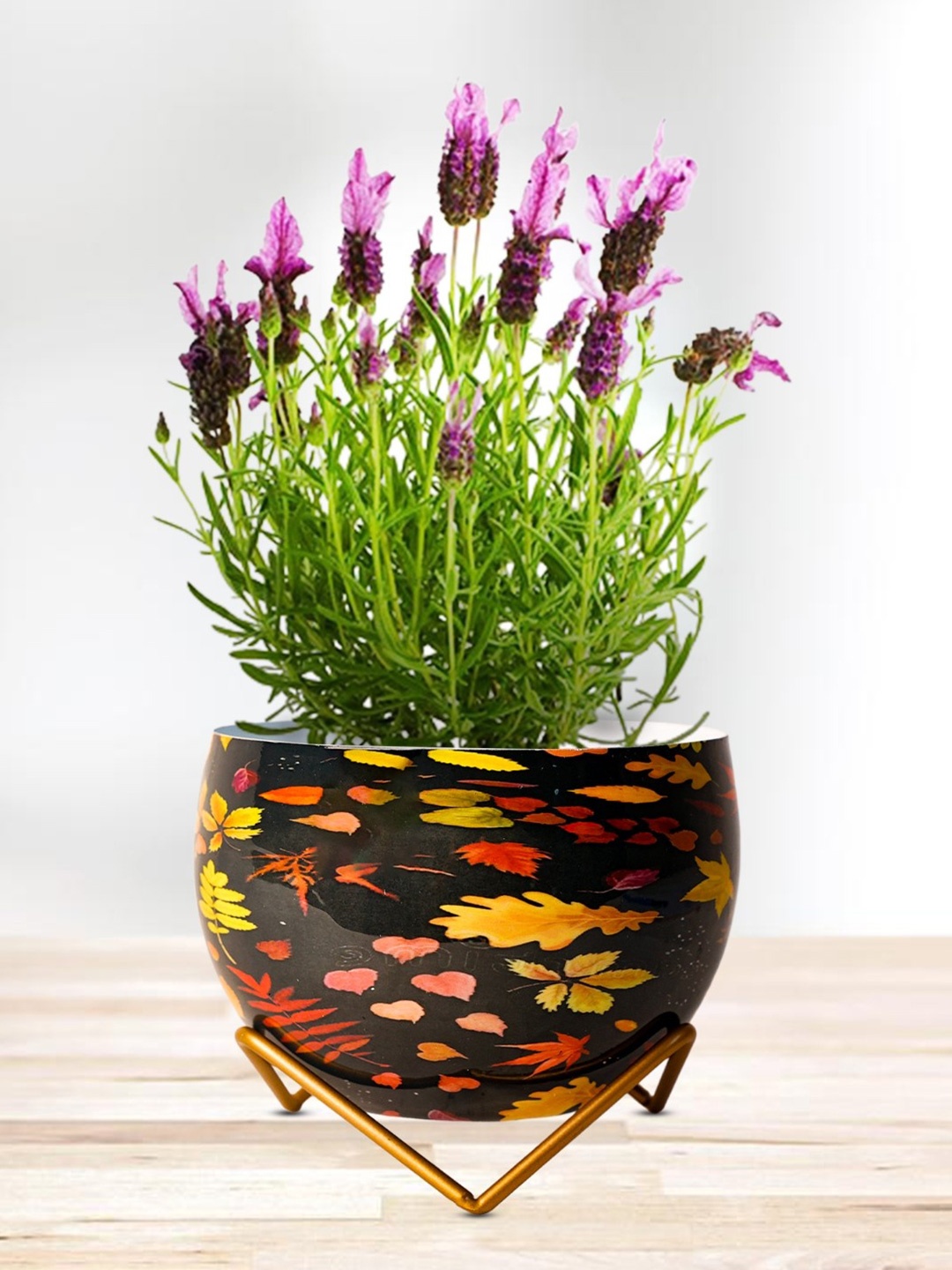 

Nymph Red & Black 2 Pieces Printed Planters With Stand
