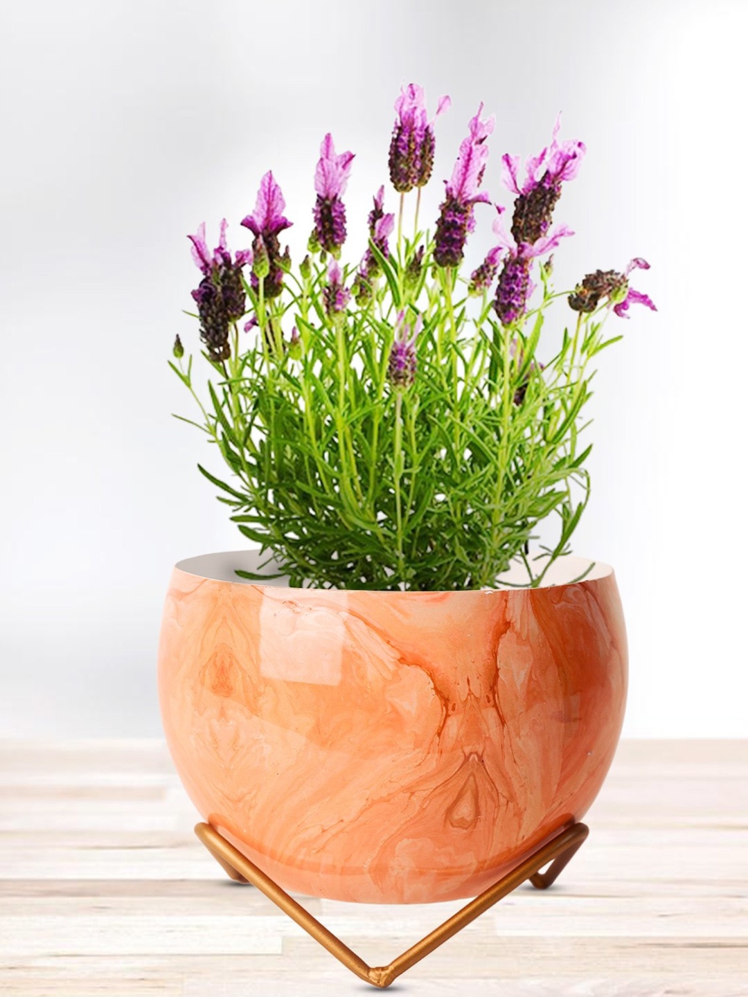 

Nymph Reva Home Orange & Gold-Toned Printed Indoor Flower Pot With Stand