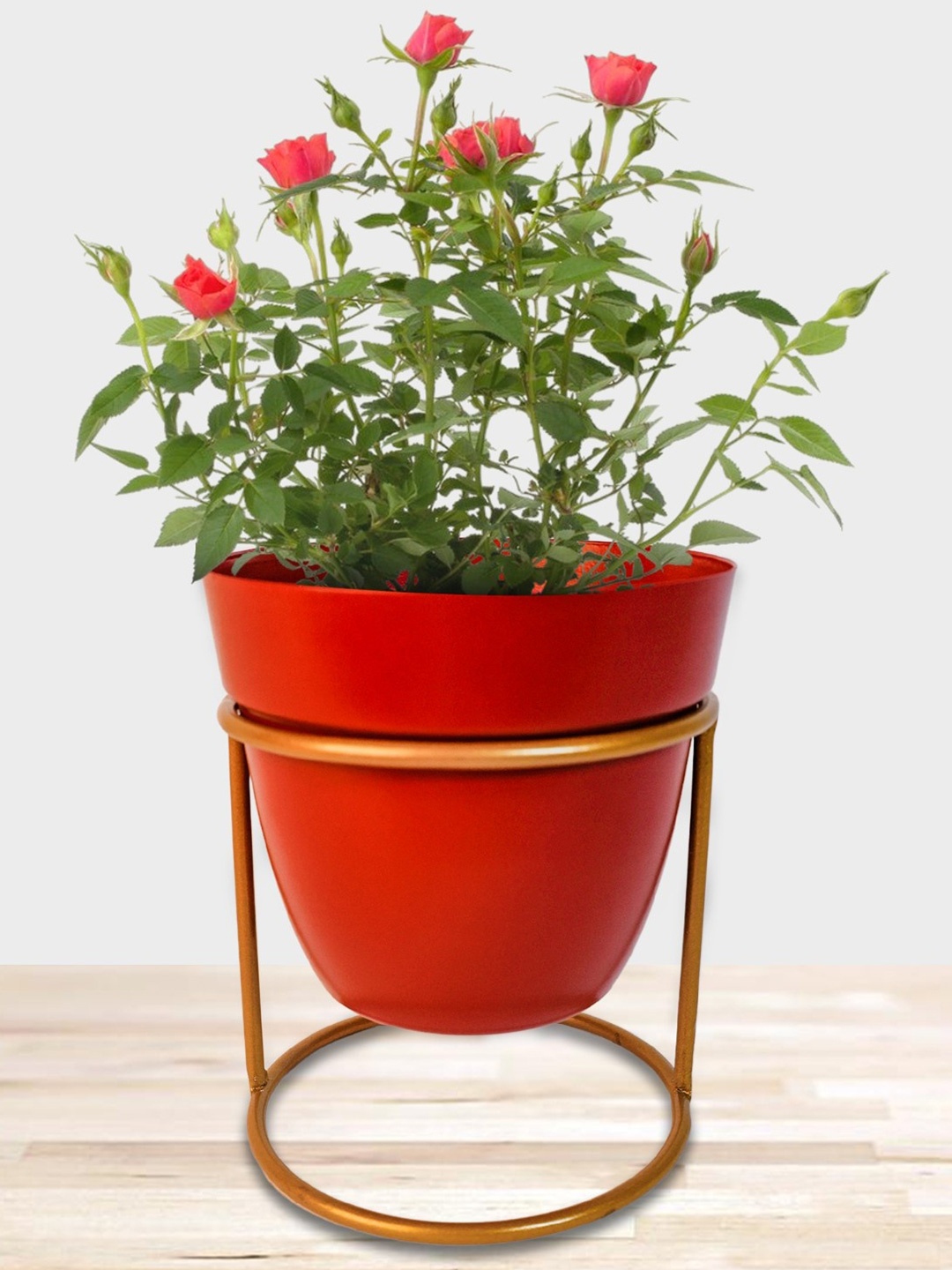 

Nymph Red 2 Pieces Planters With Stand