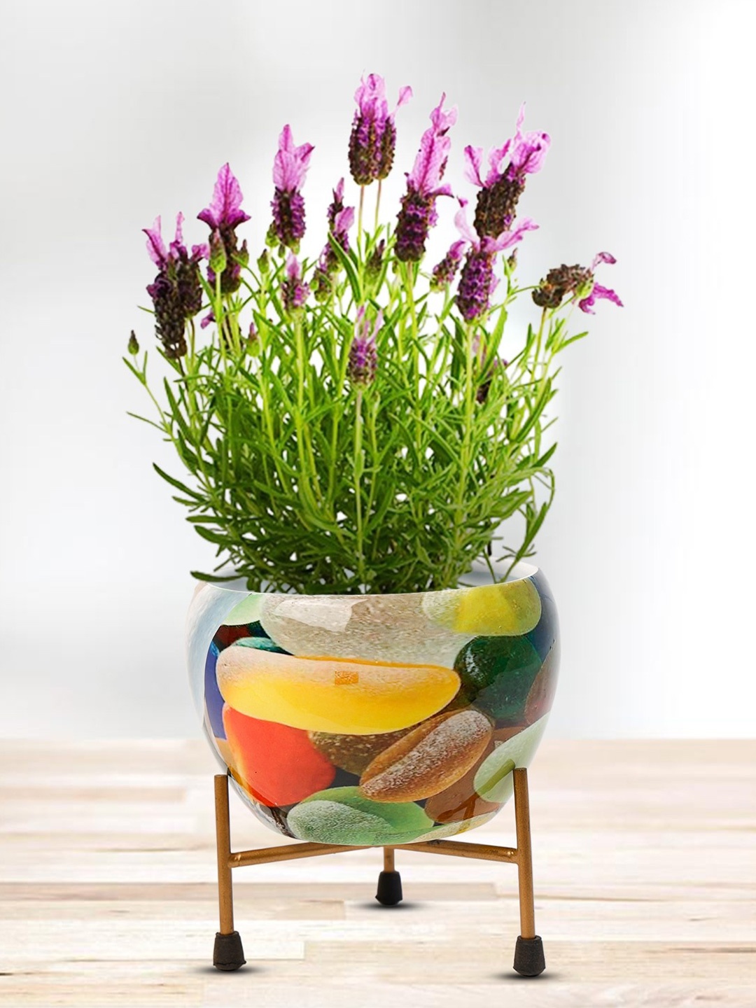 

Nymph Reva Home Yellow & White 2 Pieces Printed Planters With Stand