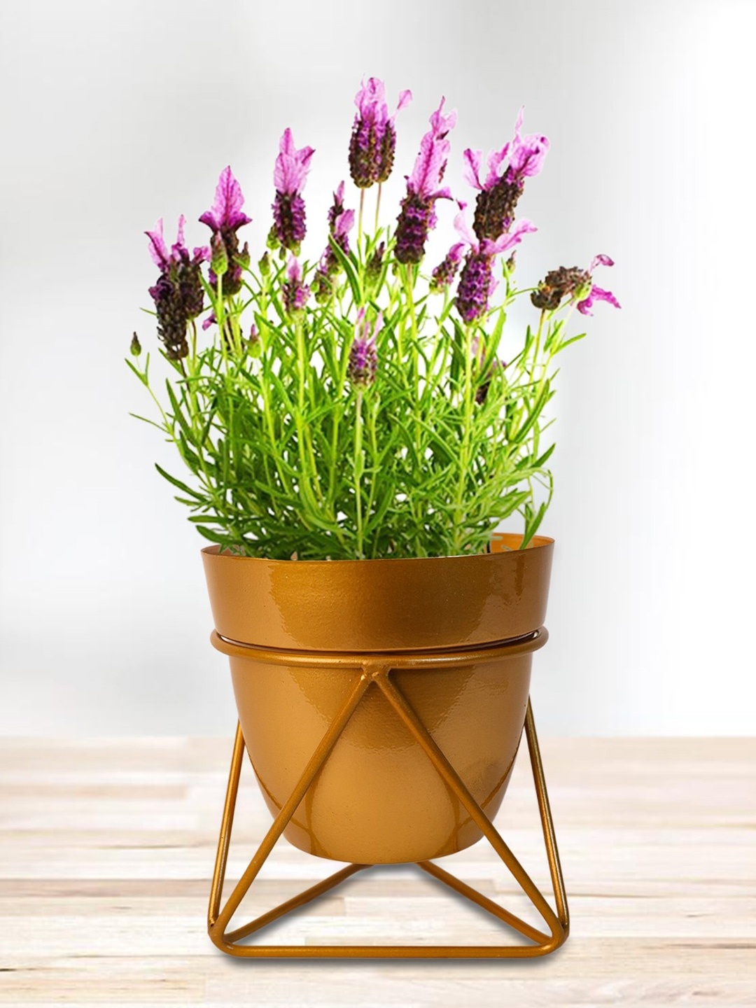 

Nymph Reva Home Gold Toned 2 Pieces Planters With Stand