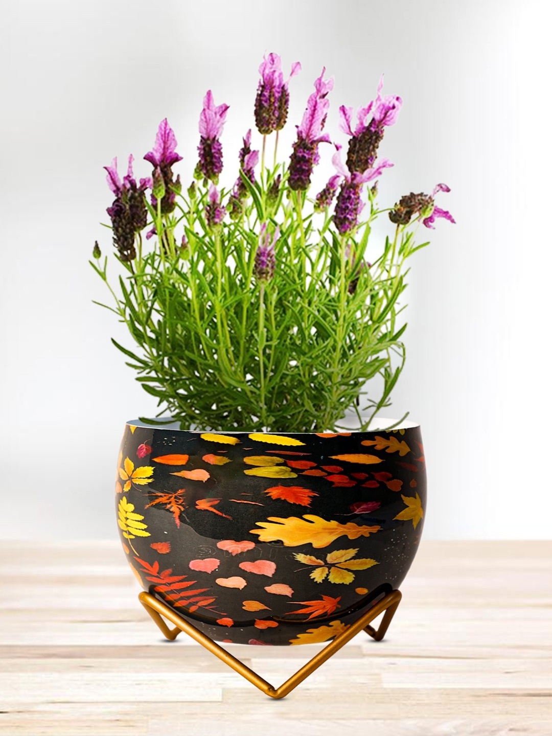 

Nymph Reva Home Black & Red Printed Indoor Flower Pot