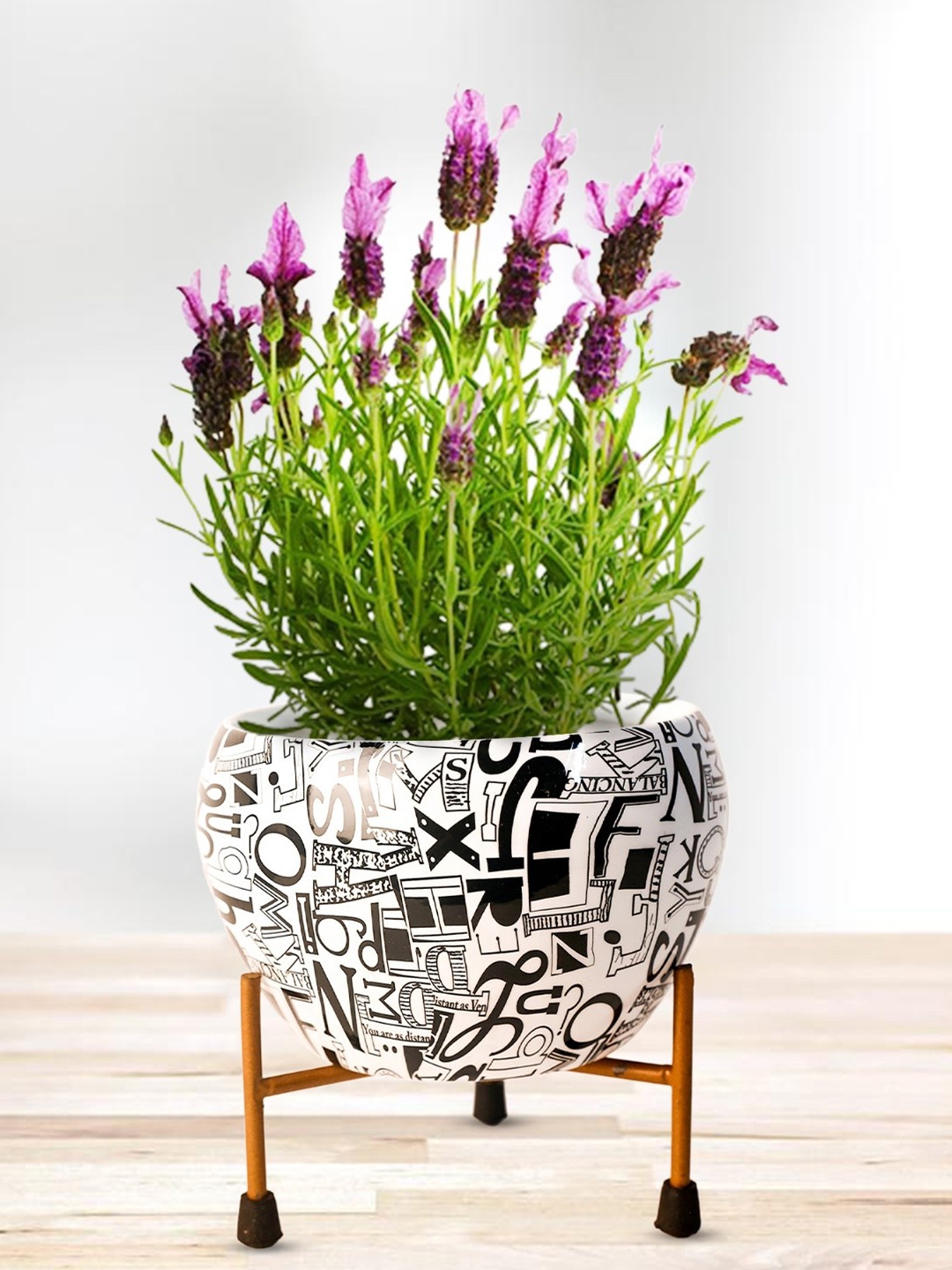 

Nymph Reva Home Black & White Printed Indoor Flower Pot