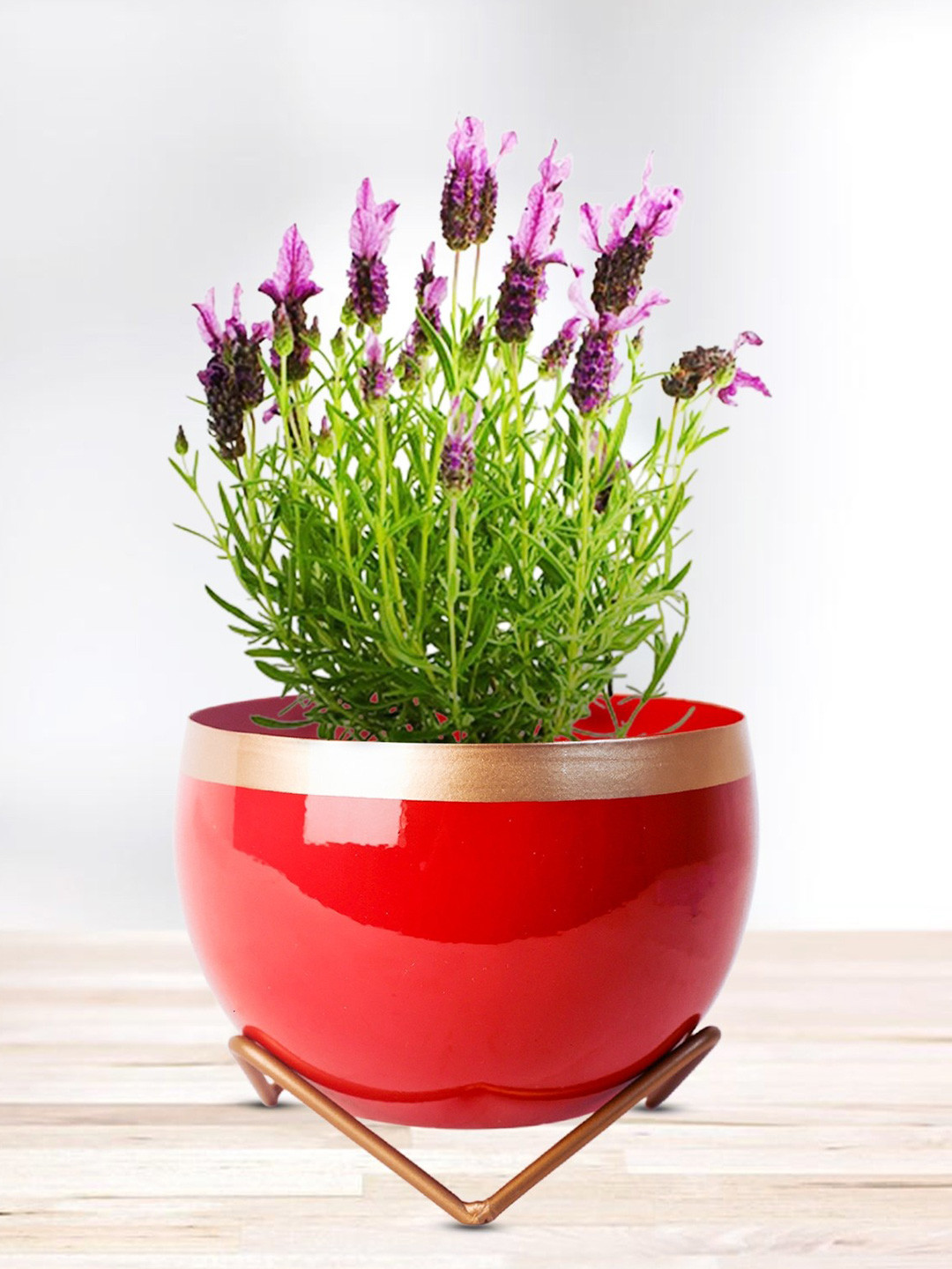 

Nymph Red 2 Pieces Planters With Stand
