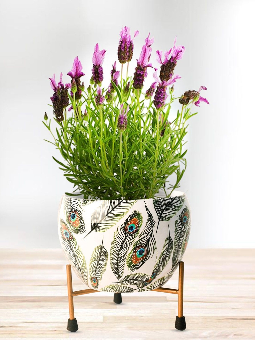 

Nymph Reva Home White & Green 2 Pieces Printed Planters With Stand
