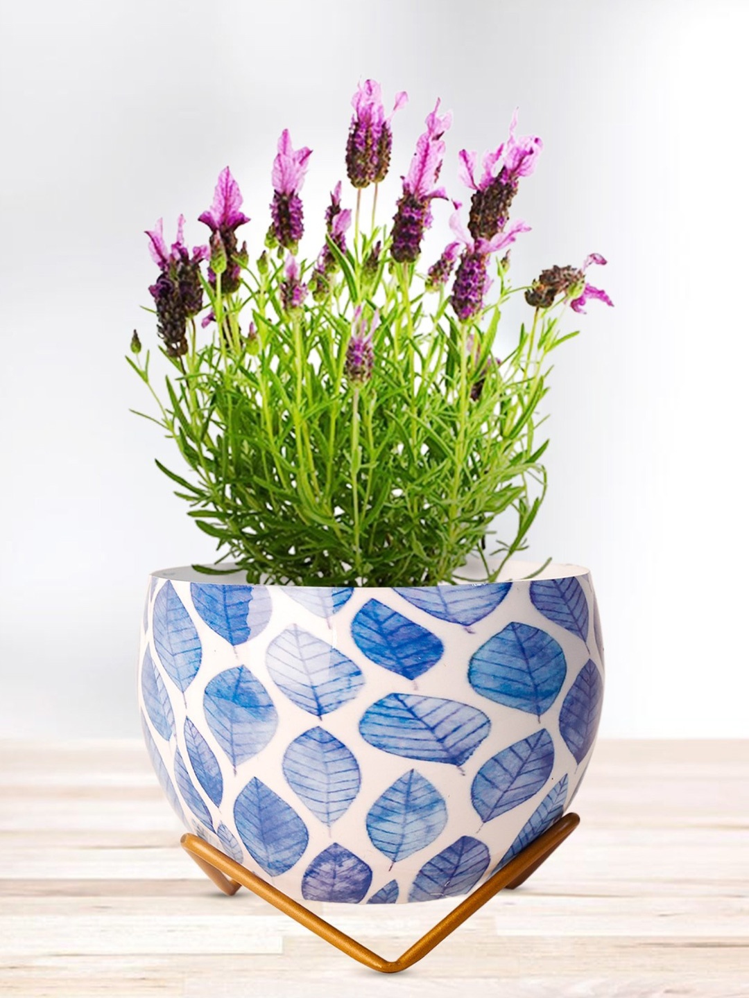 

Nymph Blue & White Printed Flower Planters With Stand