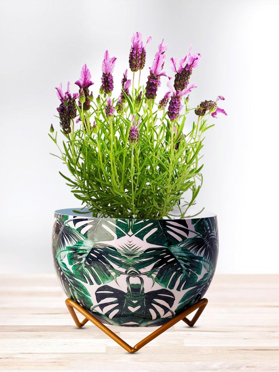 

Nymph Reva Home White & Green 2 Pieces Printed Indoor Flower Pot With Stand