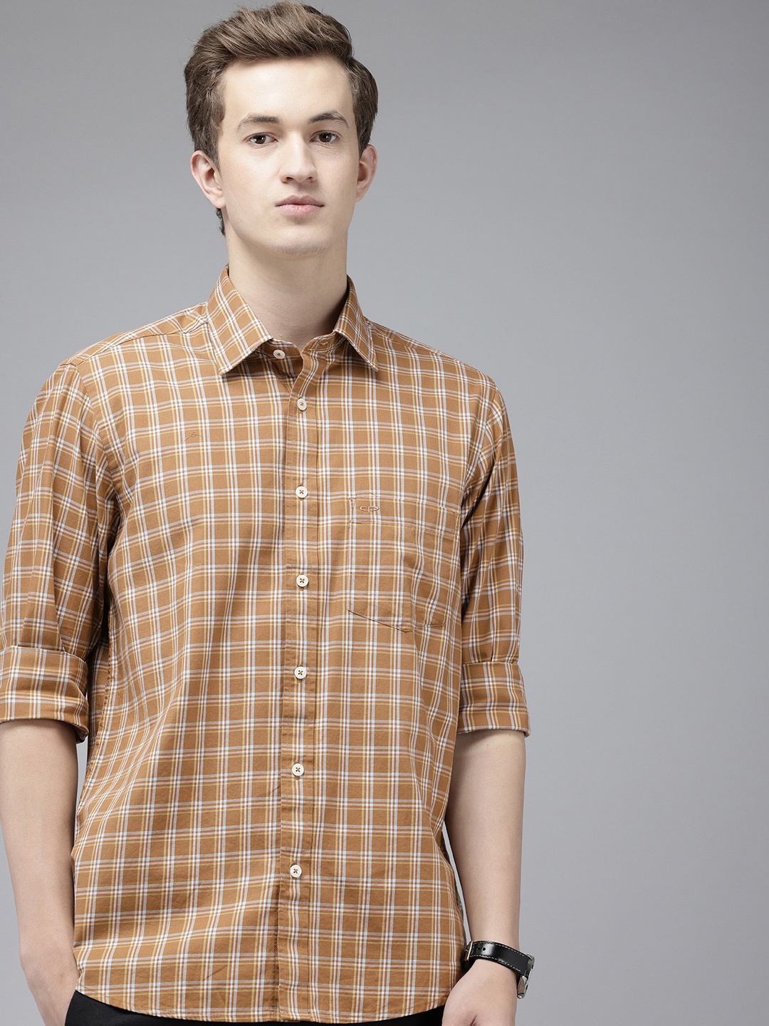 

ColorPlus Pure Cotton Checked Casual Shirt, Brown