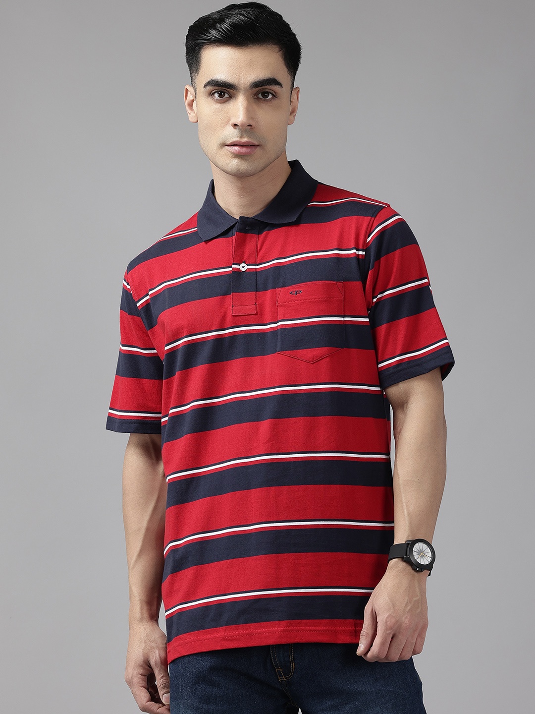 ColorPlus Polo Collar Striped T-Shirt, Red