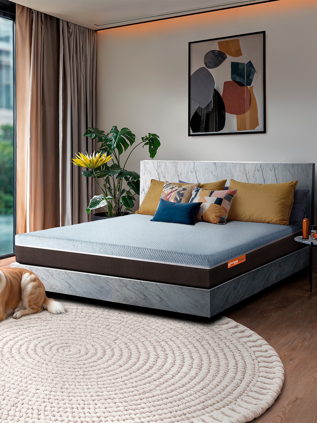Sleepyhead Laxe Natural Pincore Latex 6" Single Mattress (75x36 Inch), Grey