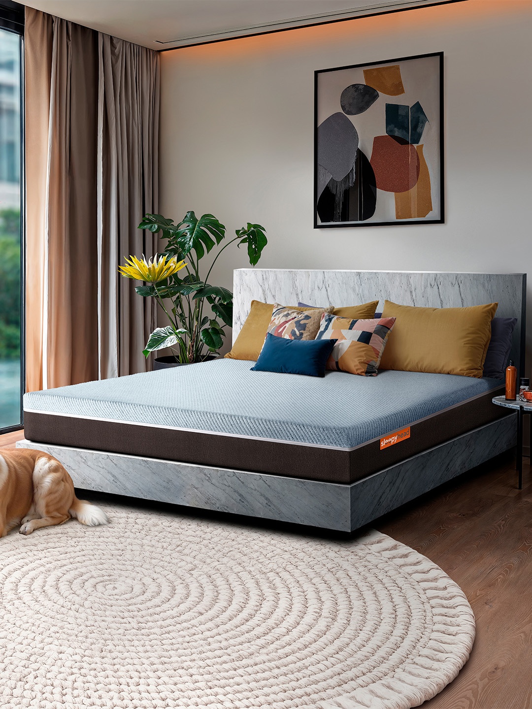 

Sleepyhead Laxe Natural Pincore Latex 6" Single Mattress (78x36 Inch), Grey