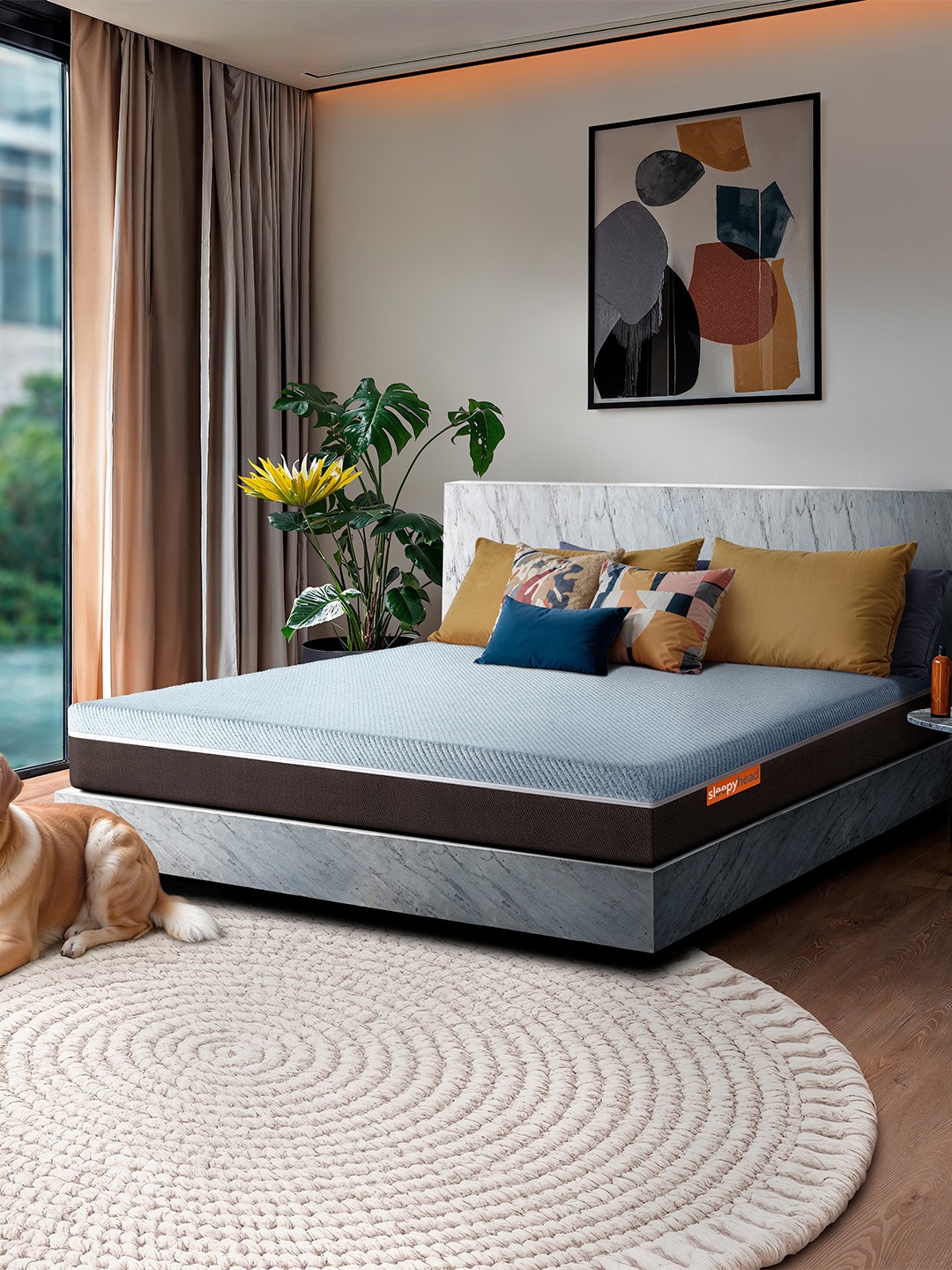 

Sleepyhead Laxe Natural Pincore Latex 6" Single Mattress (72x36 Inch), Grey