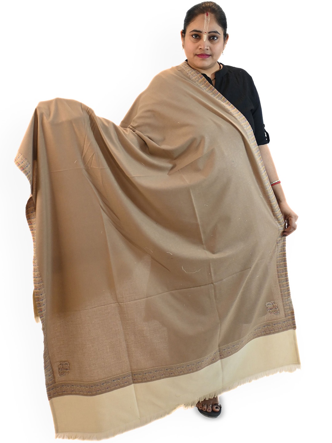 

Vrinde Women Ethnic Motifs Woven Design Shawl, Beige