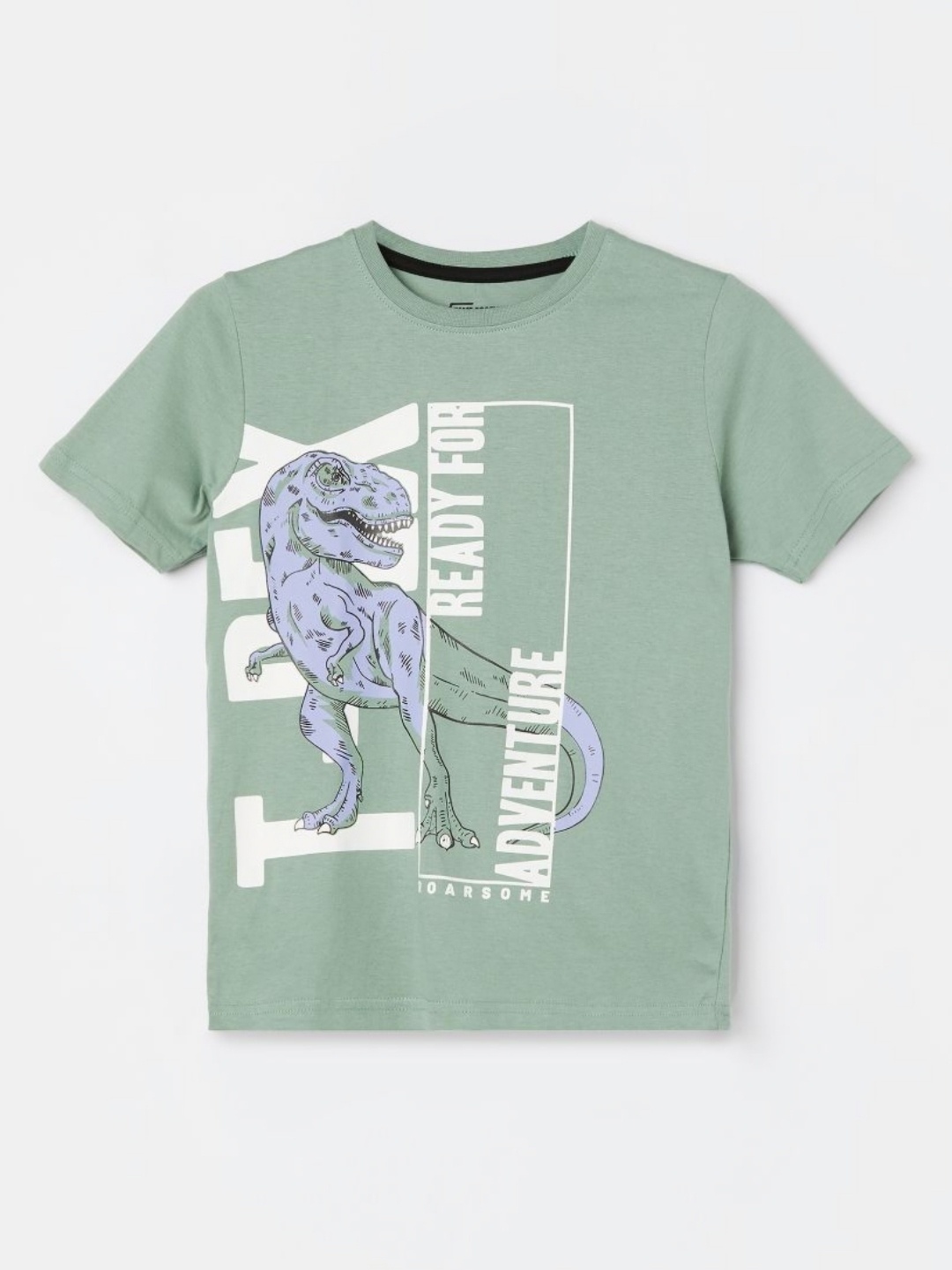 

Fame Forever by Lifestyle Boys Graphic Printed Round Neck Cotton T-shirt, Green