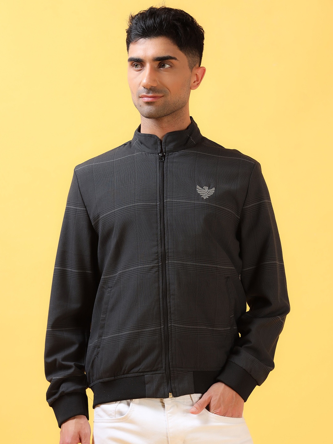 

THINC Men Mandarin Collar Striped Casual Bomber Jacket, Charcoal
