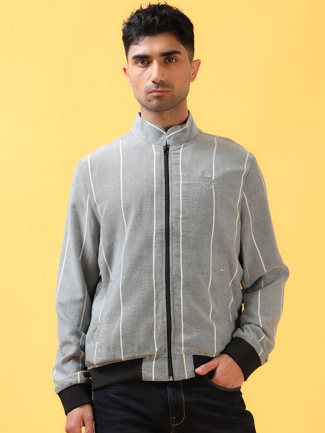 

THINC Men Mandarin Collar Striped Casual Bomber Jacket, Grey