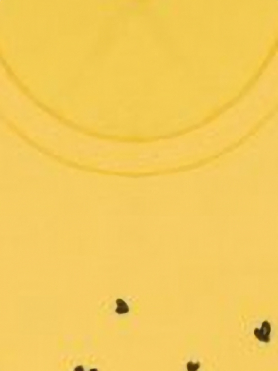 

FAZZA Pack Of 5 Girls Printed Cotton T-shirt, Yellow