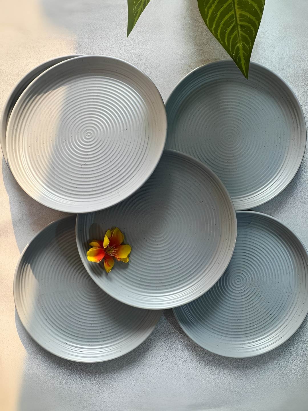 

Lupaava Grey 6 Pieces Melamine Dishwasher Safe Plates