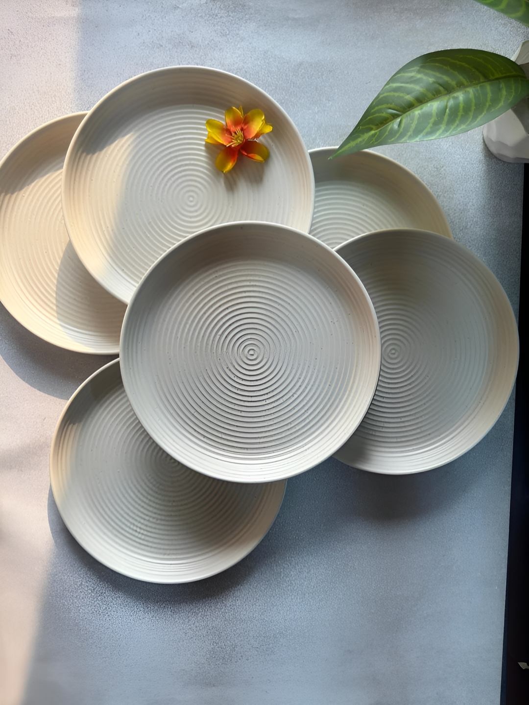 

Lupaava Grey 6 Pieces Melamine Dishwasher Safe Plates