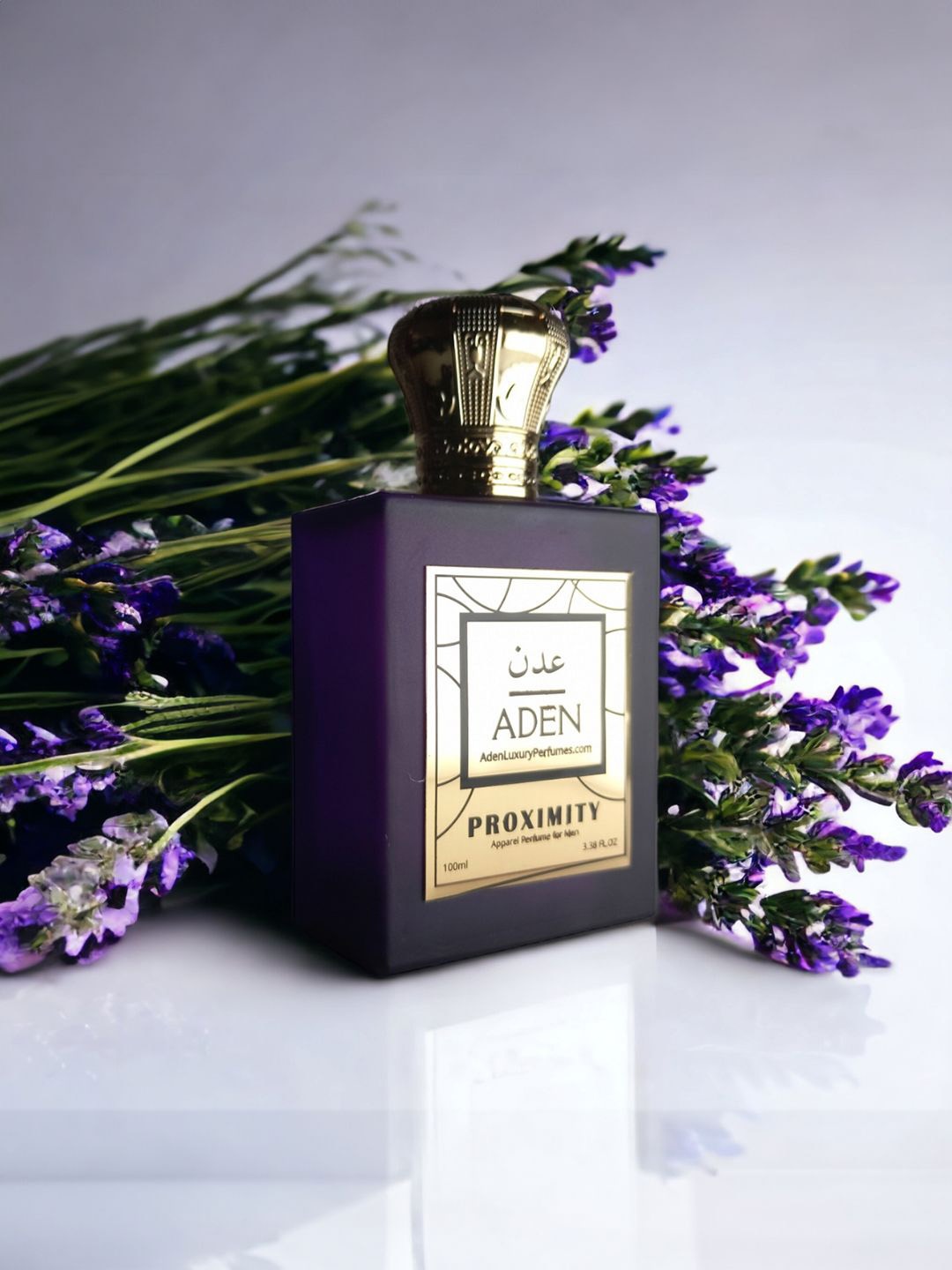 

ADEN Proximity Perfume Spray With Fresh And Spicy Fragrance- 100 ml, Nude