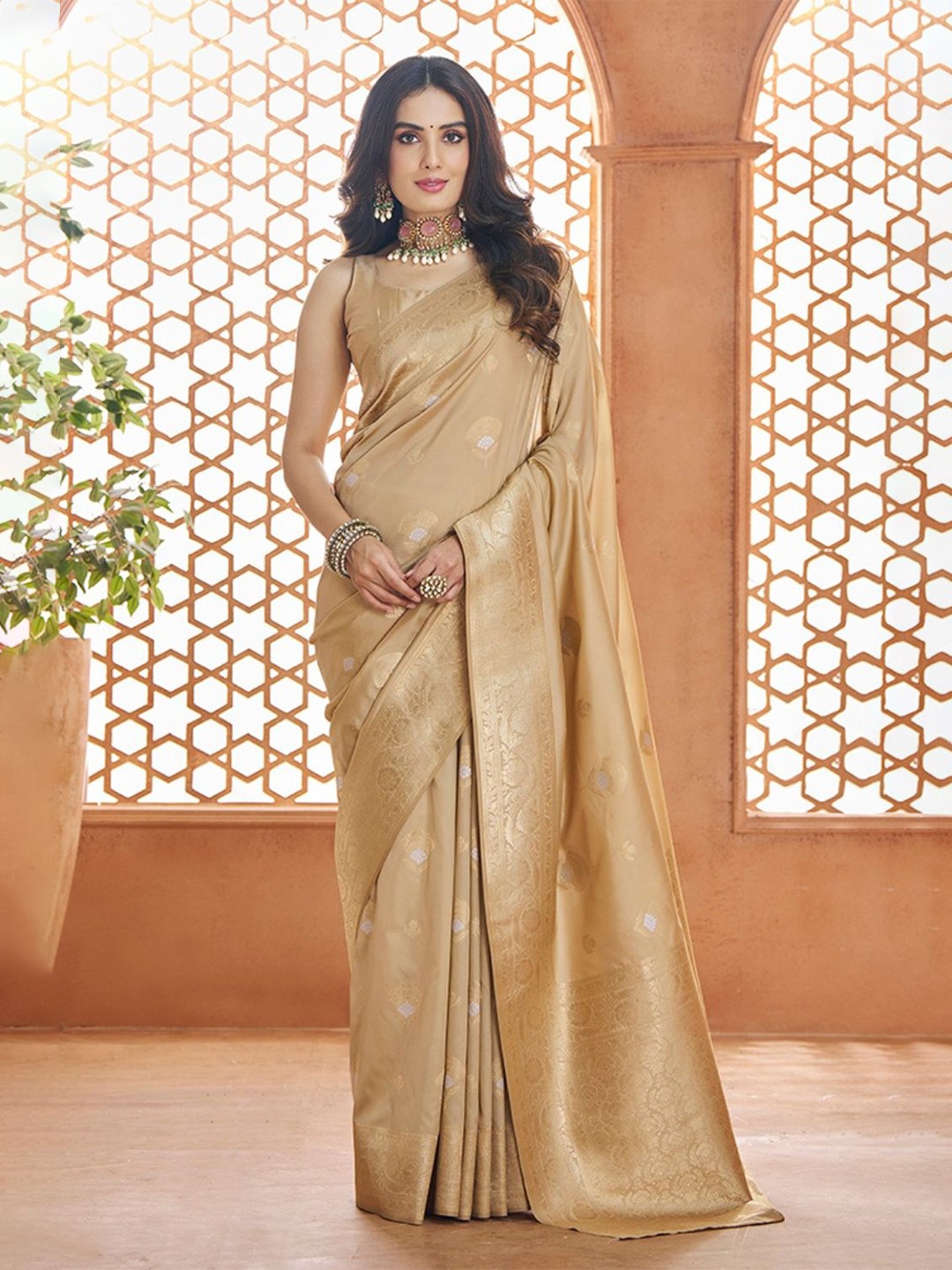 

DEVATITHI Pure Soft Banarasi Silk Saree, Beige