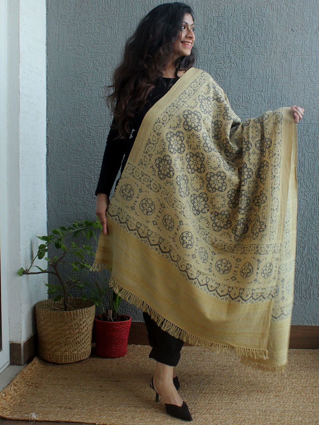 

Weaves of Tradition Women Ethnic Motifs Printed Shawl, Beige