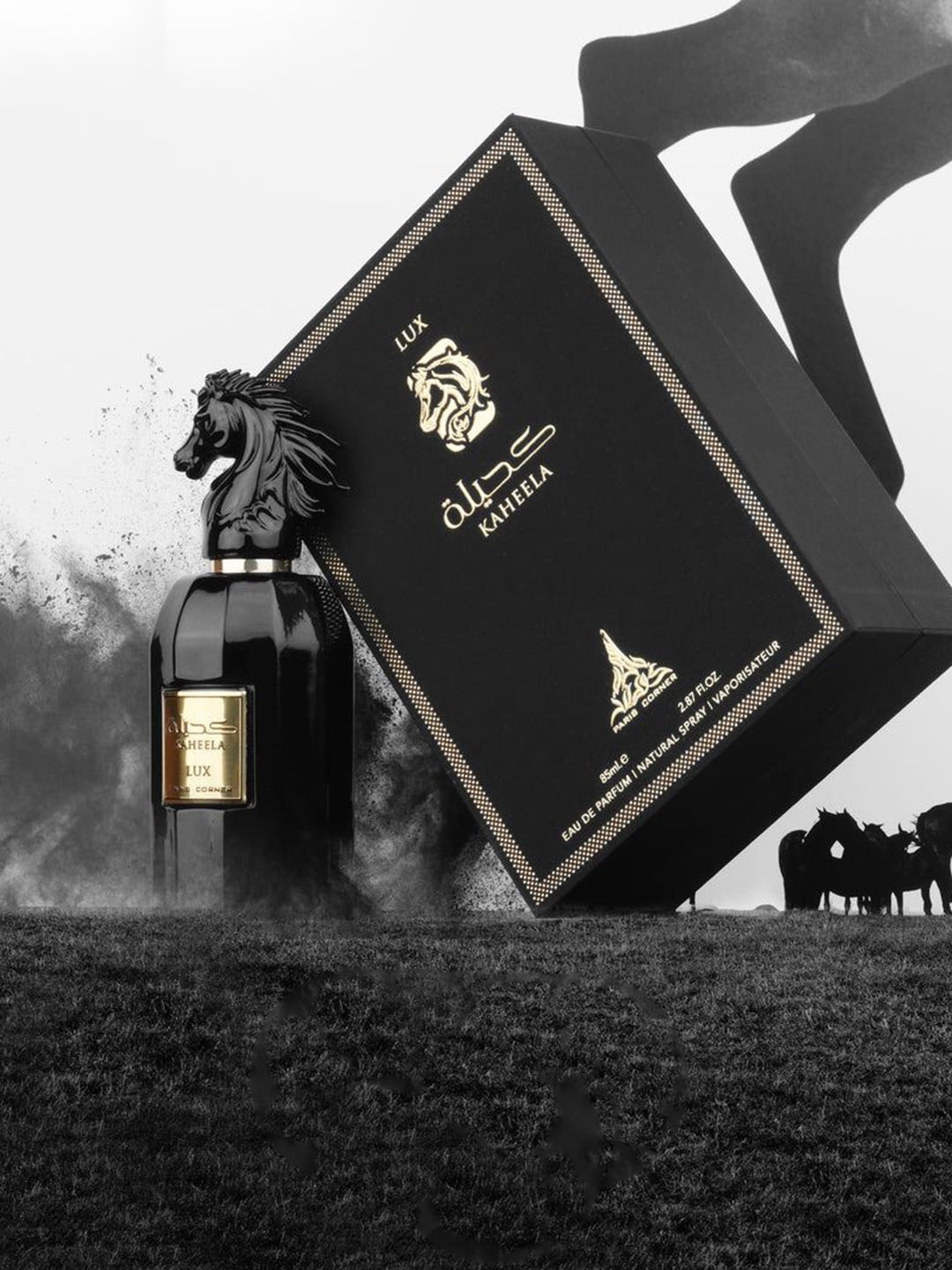 

Paris Corner Perfumes Kaheela Lux Long Lasting Eau De Parfume- 85 ml, Transparent