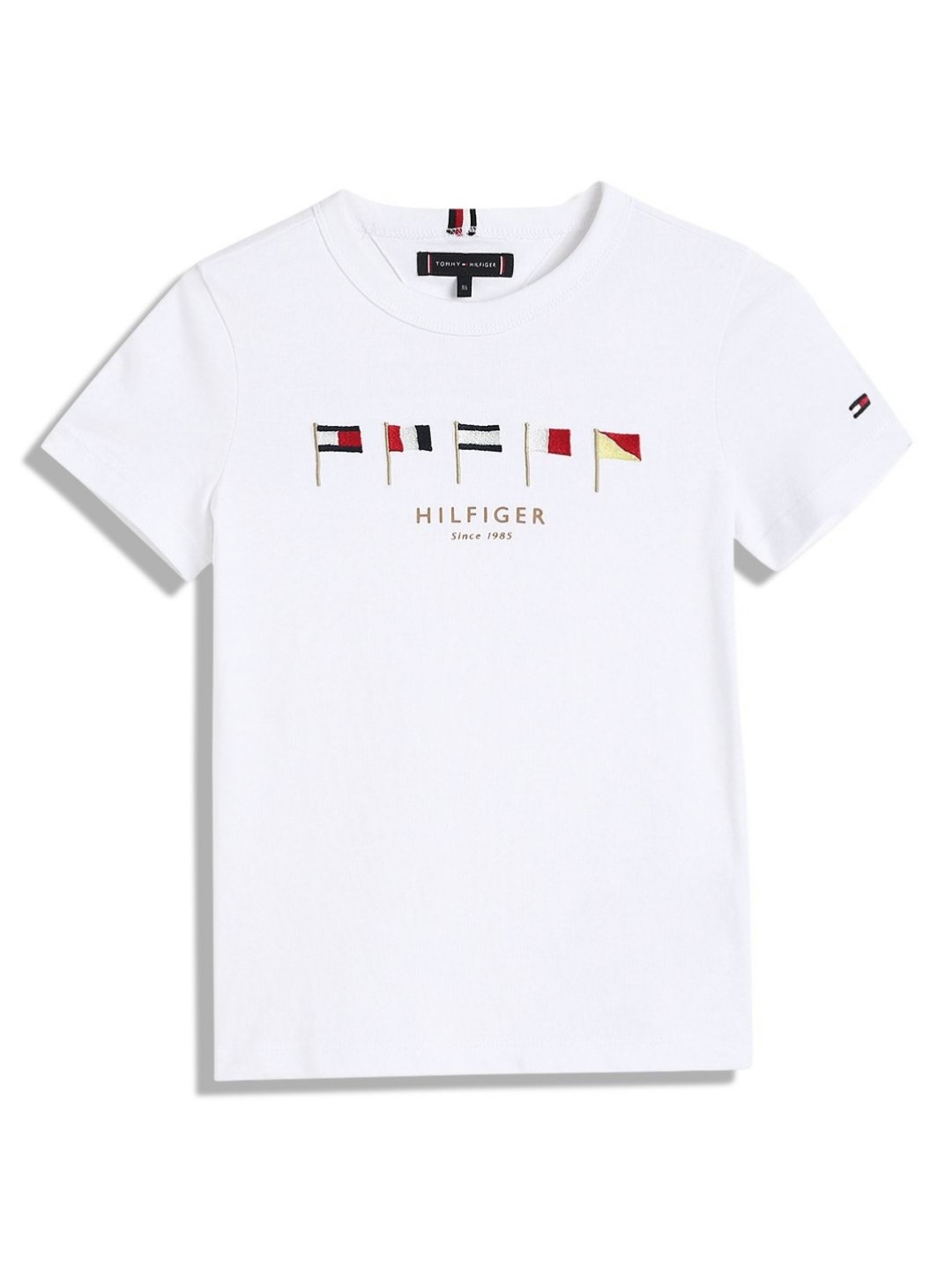 

Tommy Hilfiger Boys Typography Printed Round Neck Cotton T-shirt, White