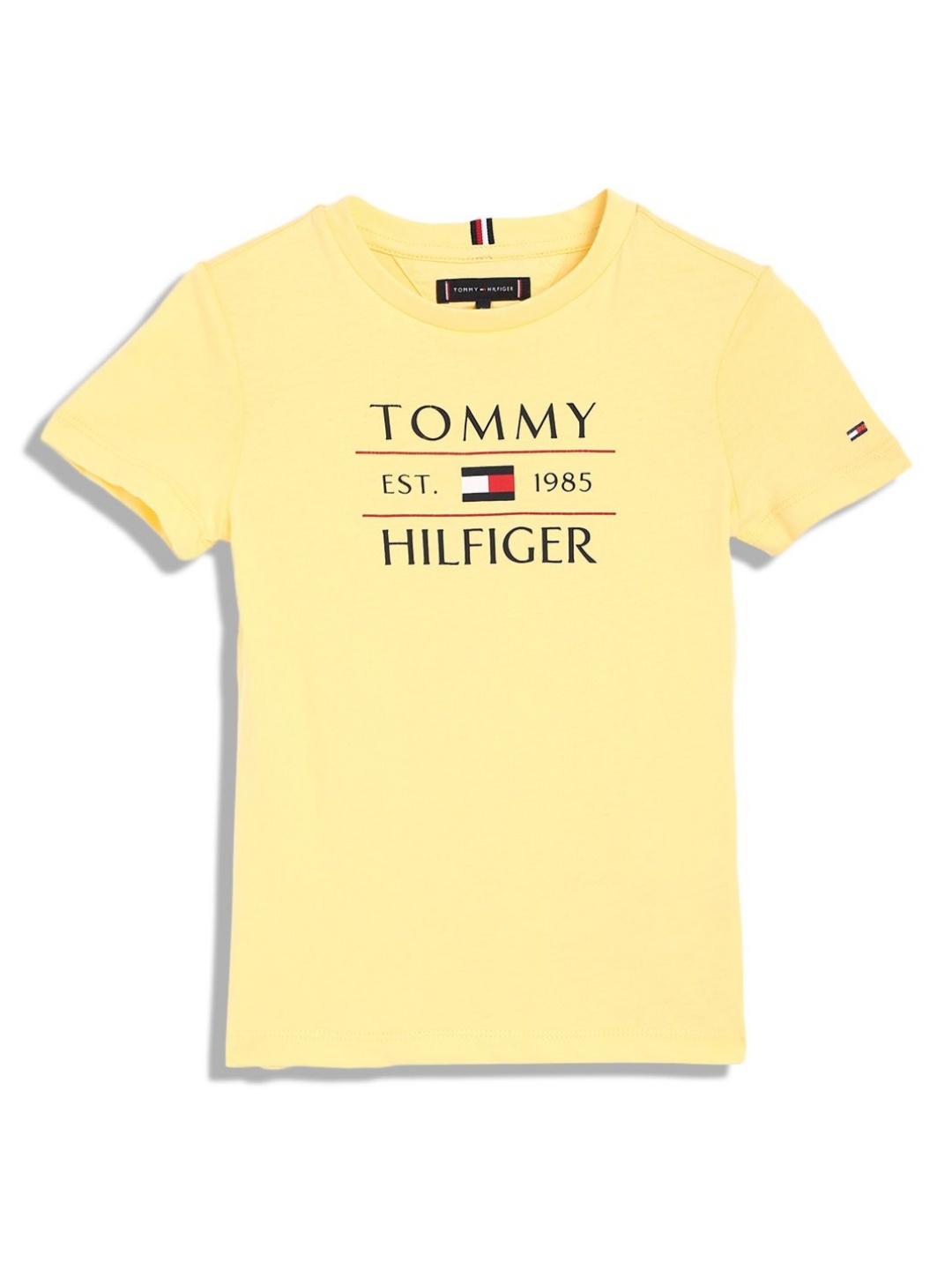 

Tommy Hilfiger Boys Typography Printed Round Neck Cotton T-shirt, Yellow