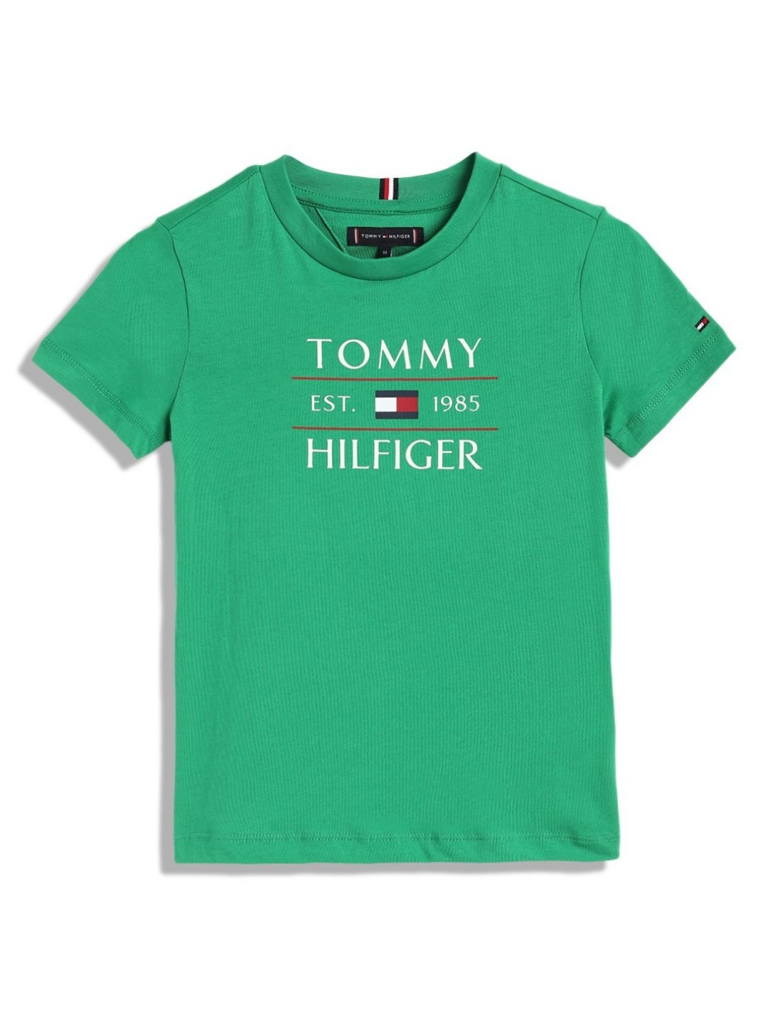 

Tommy Hilfiger Boys Typography Printed Round Neck Cotton T-shirt, Green