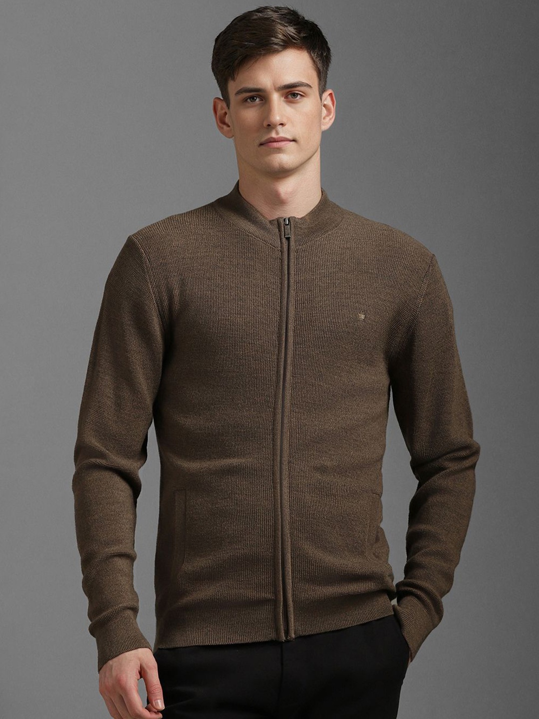 

Louis Philippe Men Long Sleeves Sweaters, Brown