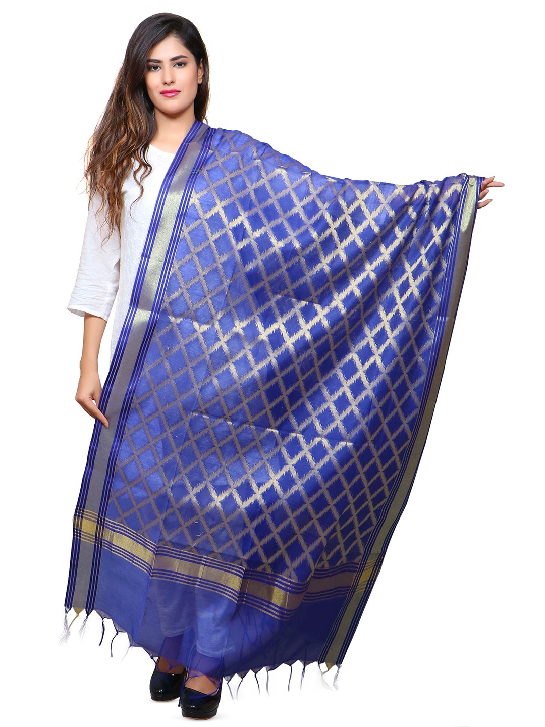 

BANJARA INDIA Woven Design Dupatta with Zari, Blue