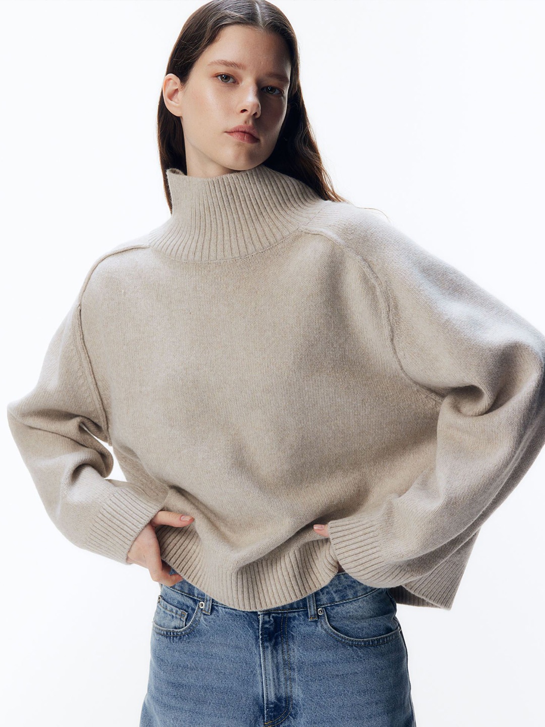 

H&M Women Turtleneck Jumper, Beige