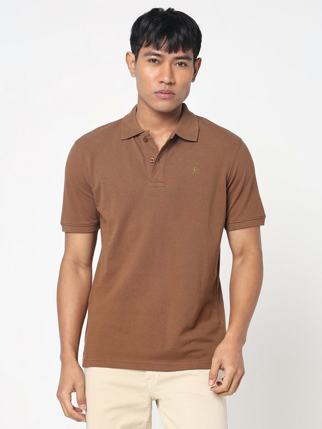 

R&B Men Solid Polo Collar Cotton T-shirt, Brown