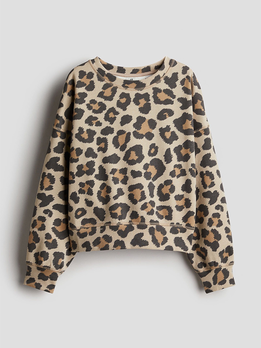 

H&M Motif-Detail Sweatshirt, Beige