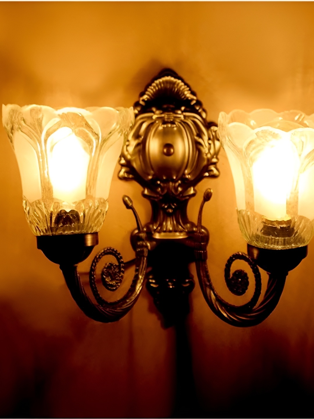 

Afast White & Gold Toned Metal Bell Shaped Wall Lamp