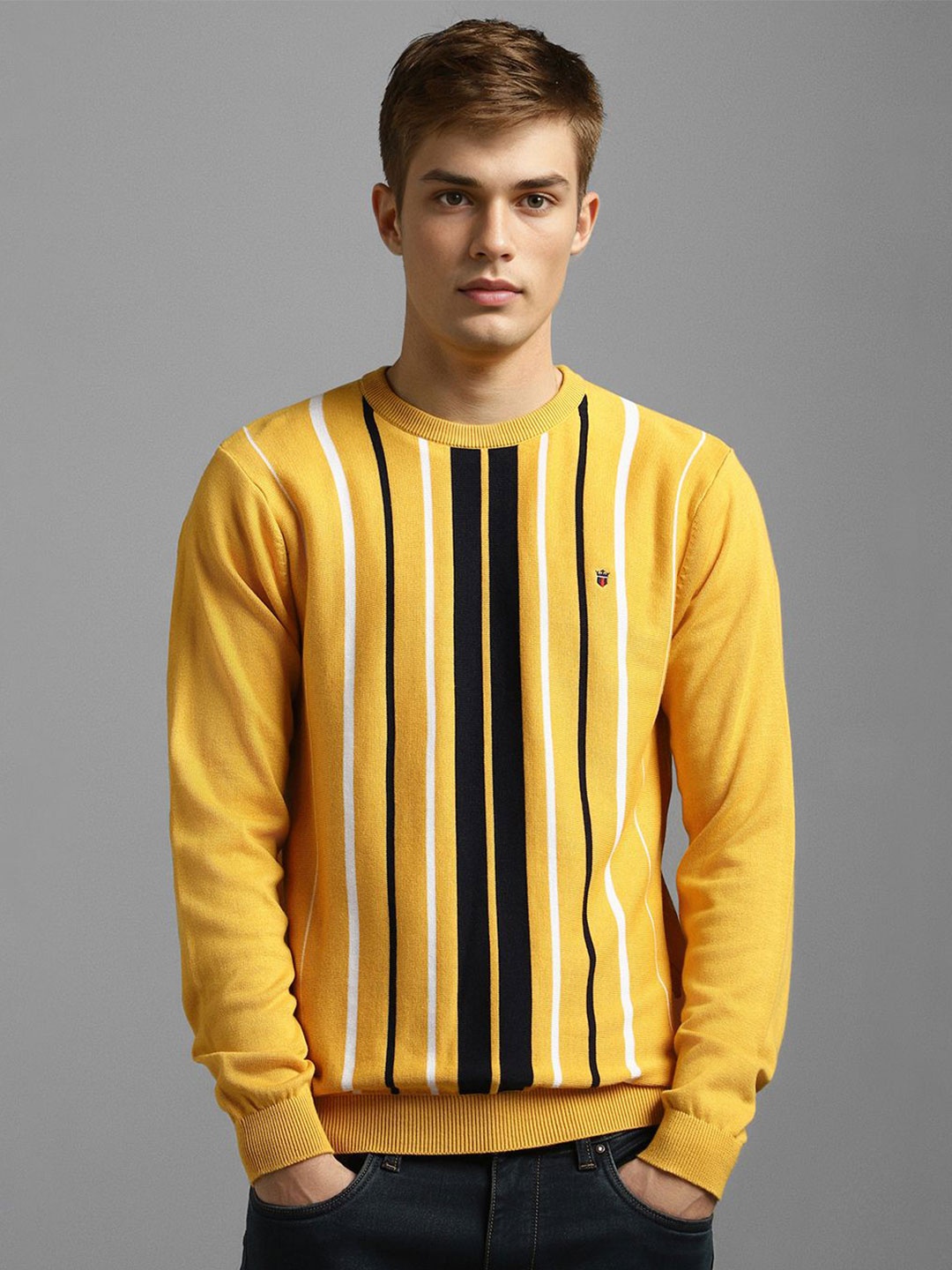 

Louis Philippe Sport Men Pure Cotton Striped Pullover Sweater, Yellow