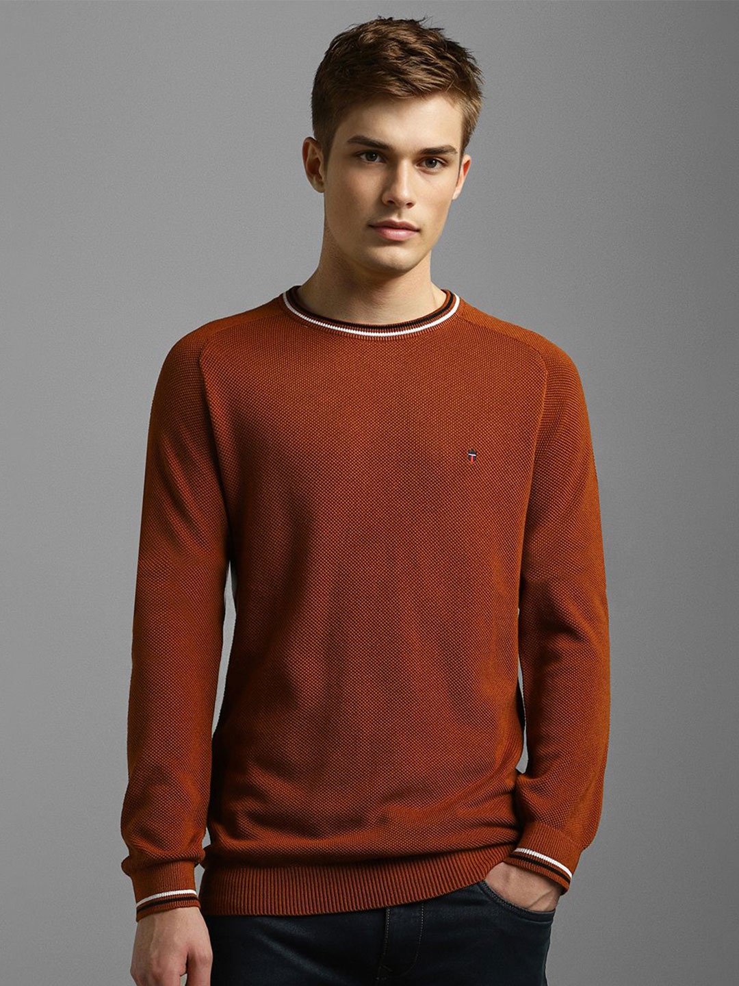 

Louis Philippe Sport Men Pullover Cotton Sweater, Brown