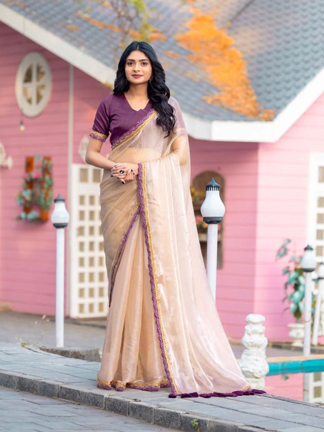 

SWADESI STUFF Embroidered Pure Chiffon Saree, Purple