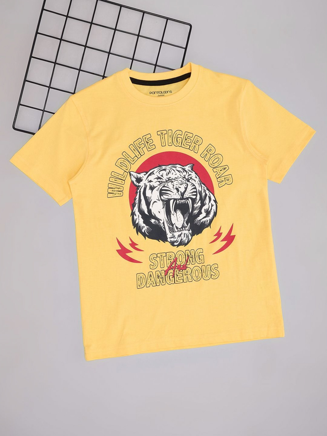 

Pantaloons Junior Boys Typography Printed Round Neck Cotton T-shirt, Yellow
