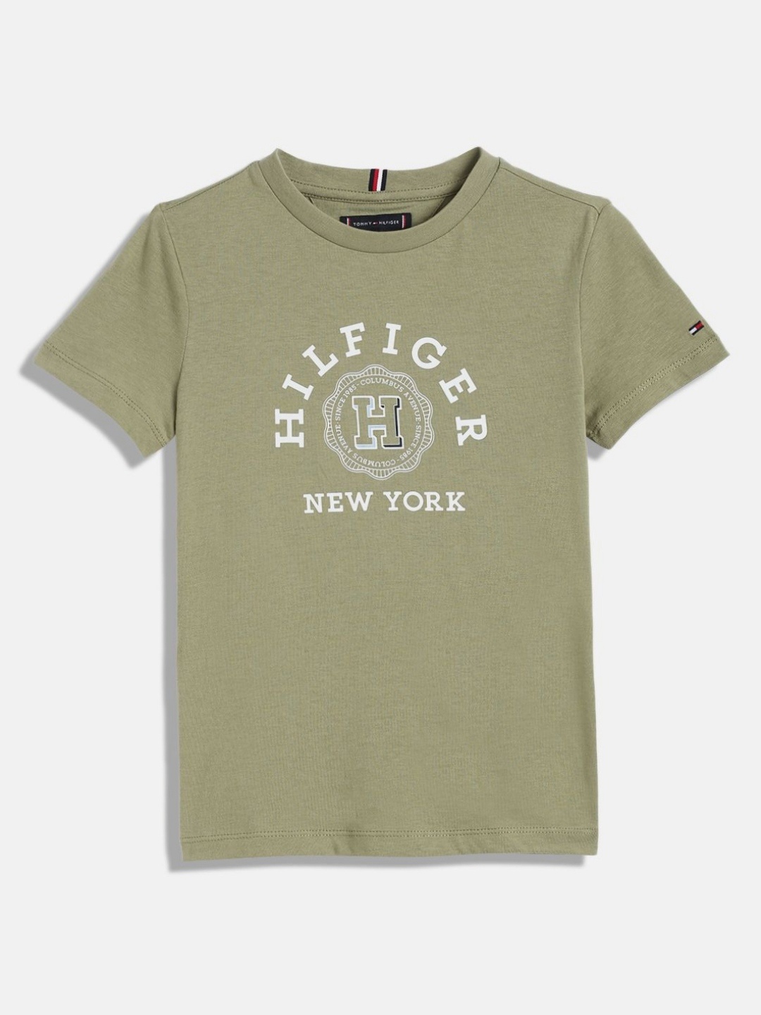

Tommy Hilfiger Boys Typography Printed Round Neck Cotton T-shirt, Olive
