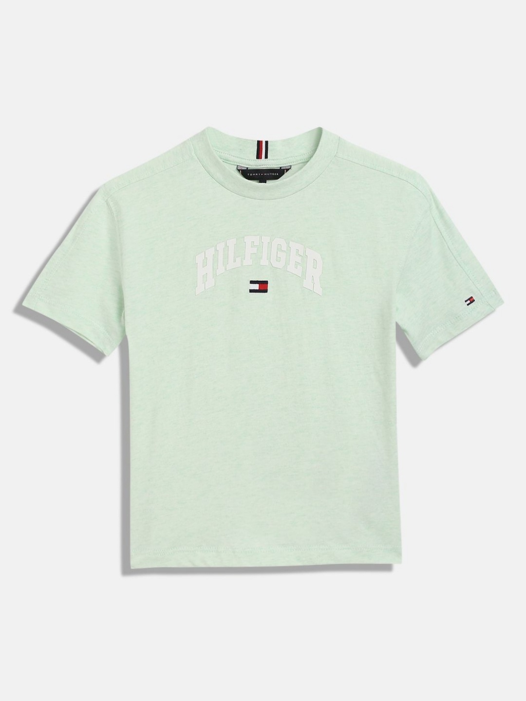 

Tommy Hilfiger Boys Typography Printed Round Neck Cotton T-shirt, Green