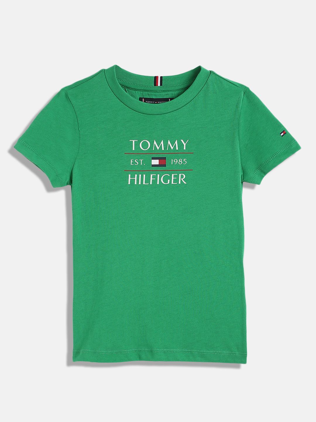 

Tommy Hilfiger Boys Typography Printed Round Neck Cotton T-shirt, Green