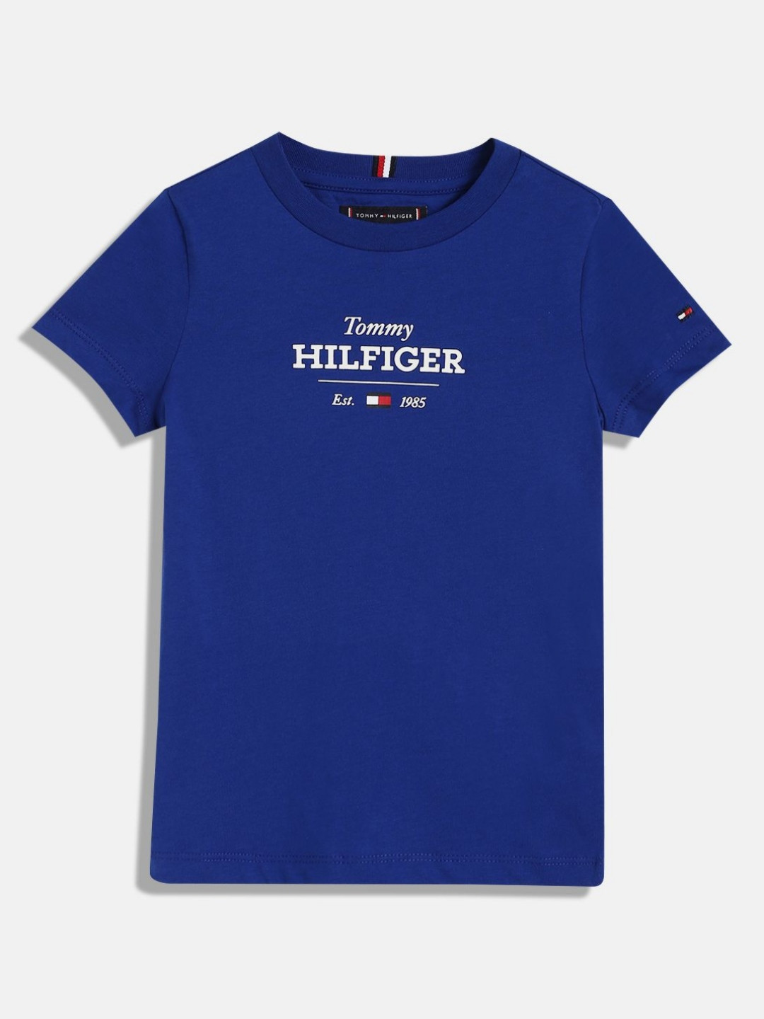 

Tommy Hilfiger Boys Typography Printed Round Neck Cotton T-shirt, Blue