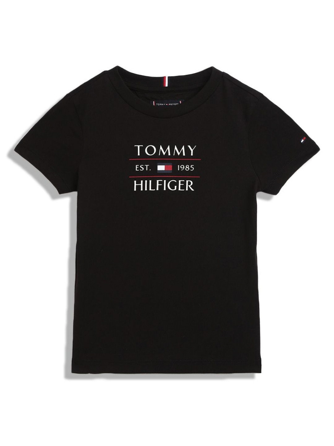 

Tommy Hilfiger Boys Typography Printed Round Neck Cotton T-shirt, Black