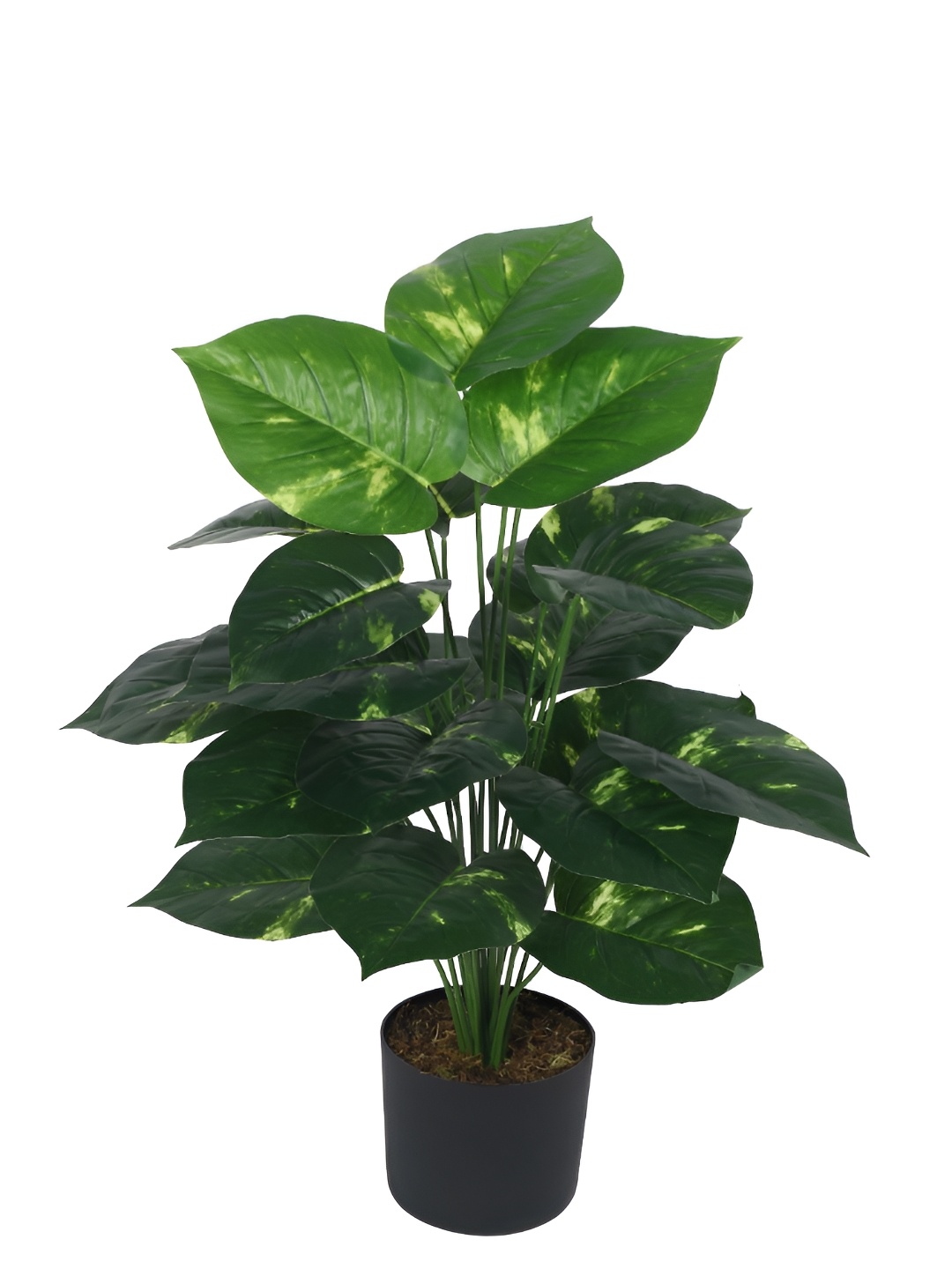 

Home Bloom Green & Black Pothos Artificial Plant With Pot