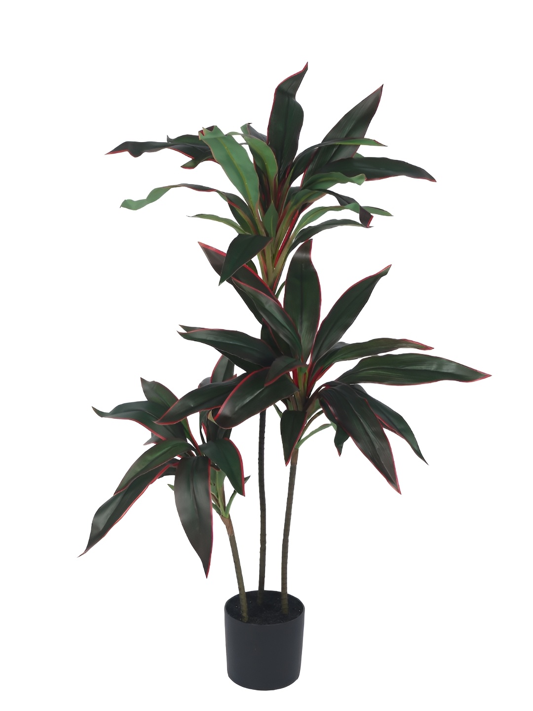 

Home Bloom Red & Green Artificial Plant With Pot