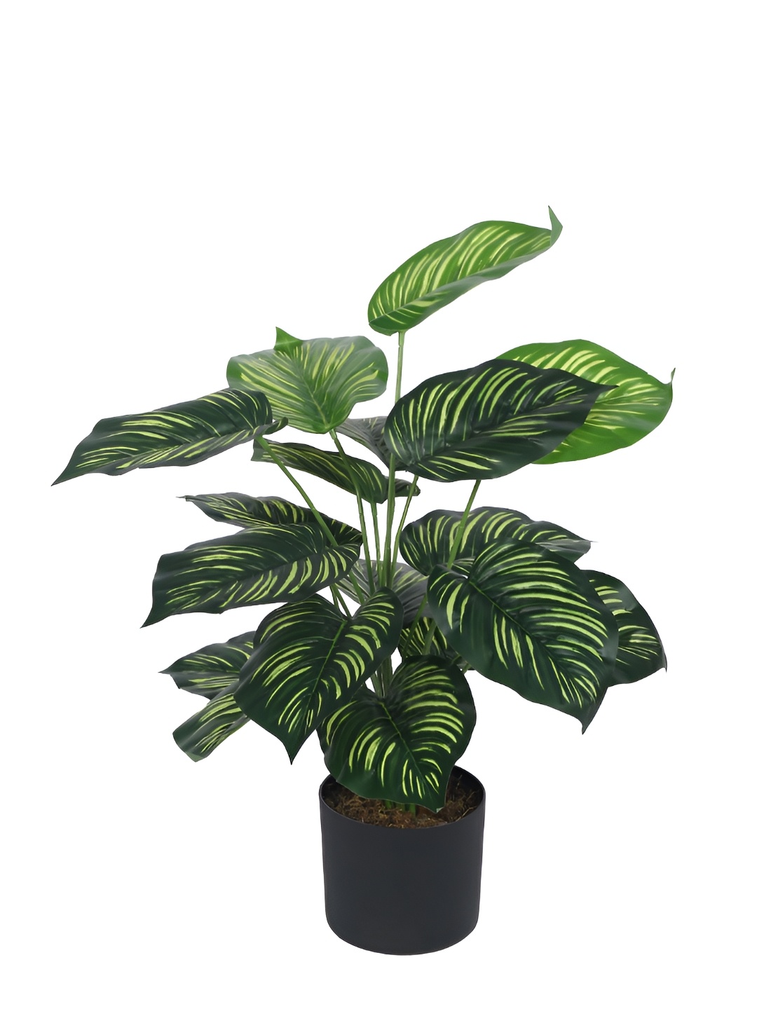 

Home Bloom Green & Black Artificial Plant With Pot