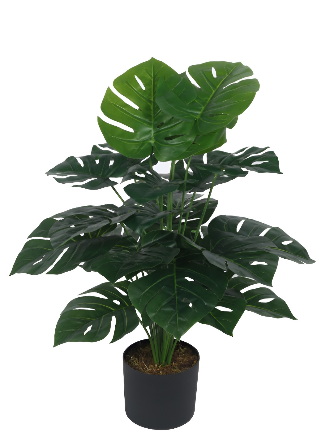 

Home Bloom Green & Black Artificial Plant With Pot