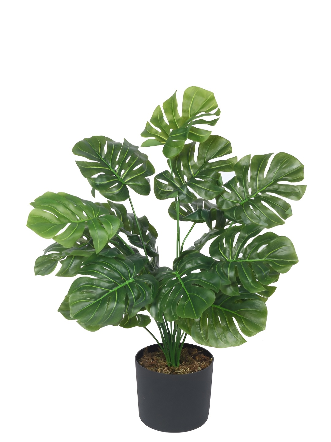 

Home Bloom Green & Black Money Artificial Plant With Pot